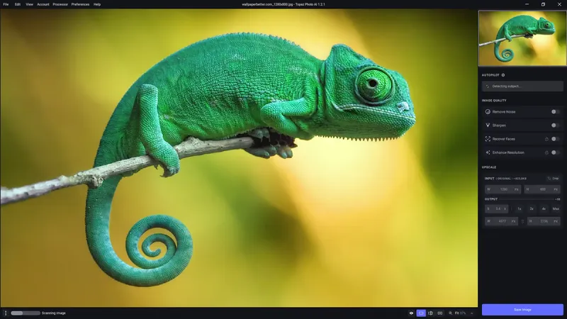 Программный интерфейс Topaz Photo AI 1.2.1 RePack (& Portable) by TryRooM [En]