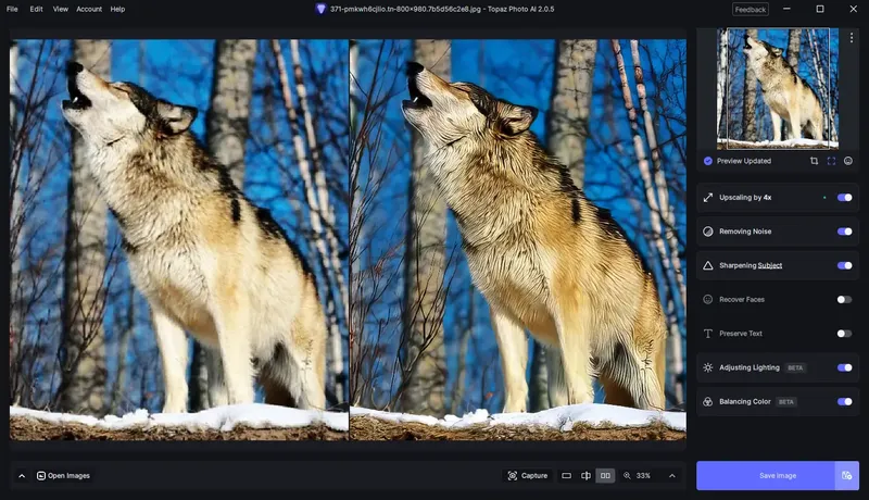 Программный интерфейс Topaz Photo AI 2.0.5 (x64) RePack (& Portable) by elchupacabra [En]