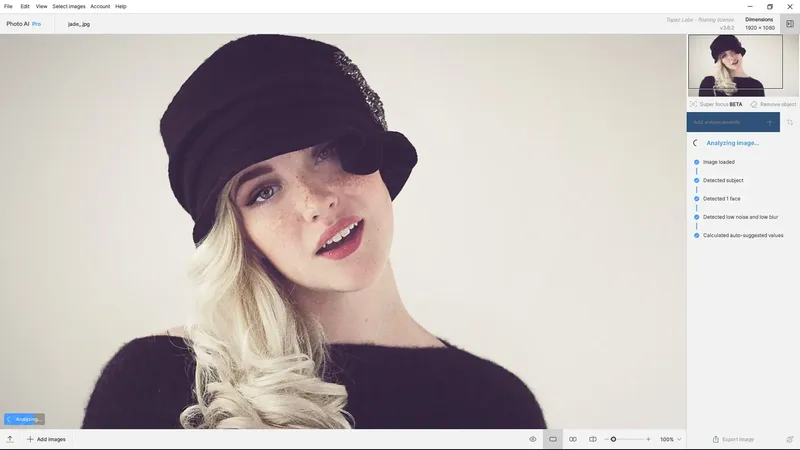 Программный интерфейс Topaz Photo AI Pro 3.6.2 RePack by KpoJIuK [En]