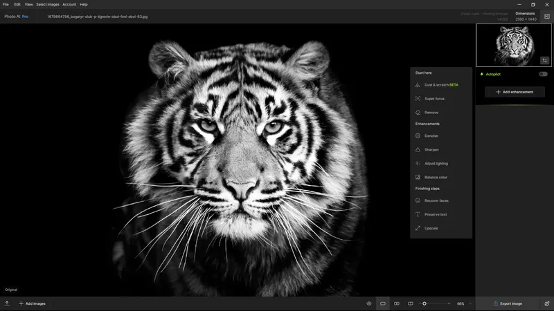 Программный интерфейс Topaz Photo AI Pro 4.0.0 RePack by KpoJIuK [En]