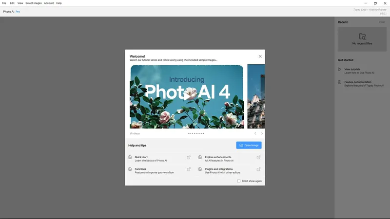 Программный интерфейс Topaz Photo AI Pro 4.0.1 RePack by KpoJIuK [En]