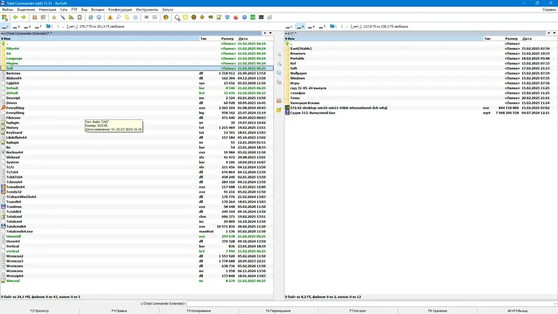 Программный интерфейс Total Commander 11.51 Extended 25.2 Full Lite RePack (& Portable) by BurSoft [Ru En]