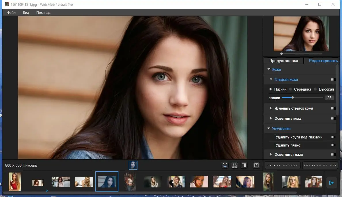 Программный интерфейс WidsMob Portrait Pro 2.2.0.210 (2023) PC Repack & Portable by elchupacabra