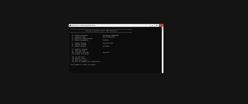 Программный интерфейс Windows Server [10.0.25398.1308], version 23H2 (Updated December 2024) - Оригинальные образы от Microsoft VLSC [En]