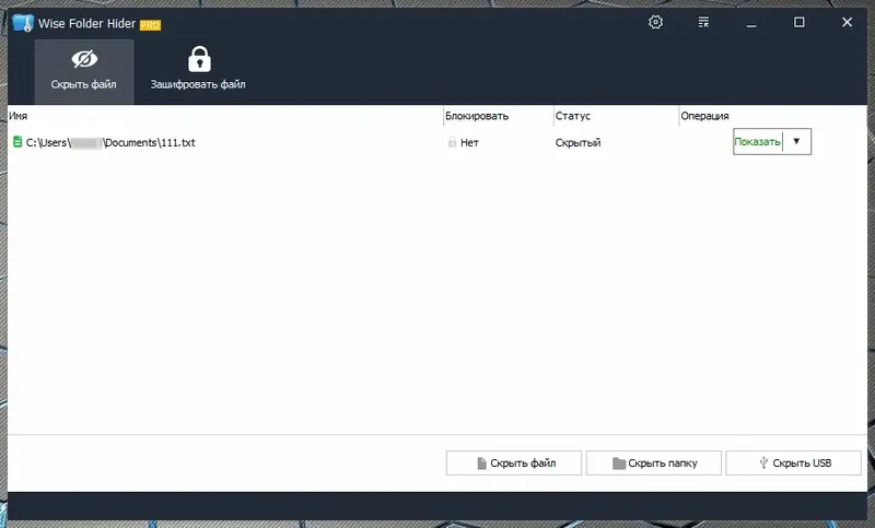 Программный интерфейс Wise Folder Hider Pro 4.3.7.196 (2021) РС RePack & Portable by elchupacabra1