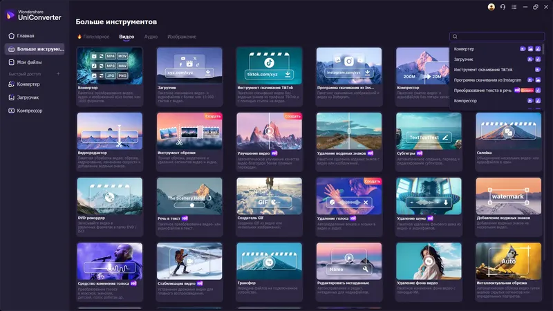 Программный интерфейс Wondershare UniConverter 16.5.5.288 RePack (& Portable) by elchupacabra [Multi Ru]