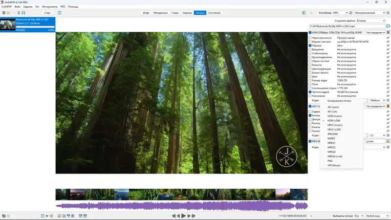 Программный интерфейс XviD4PSP 8.1.54 Pro (x64) Portable by conservator [Multi Ru]