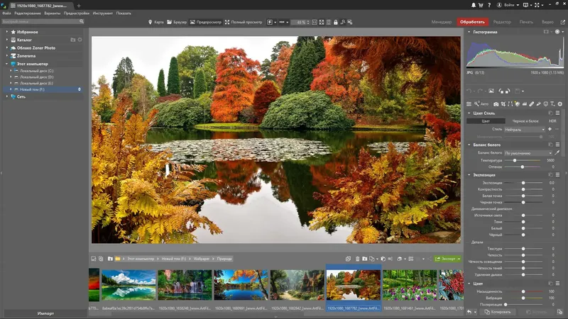 Программный интерфейс Zoner Photo Studio X 19.2503.2.631 RePack (& Portable) by elchupacabra [Ru En]