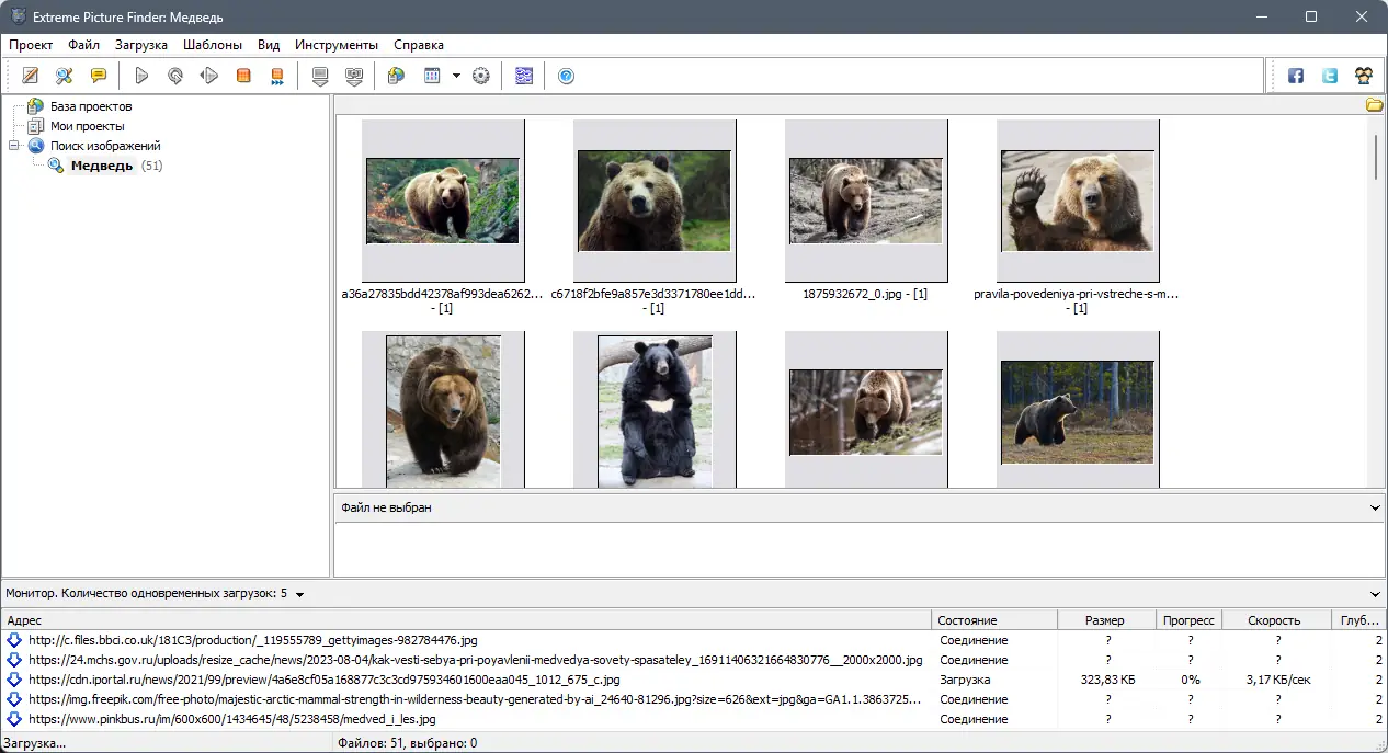 Работа с приложением