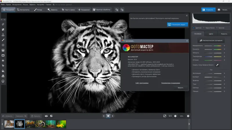 Работа с приложением