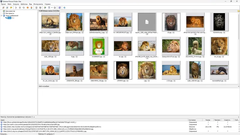 Работа с приложением