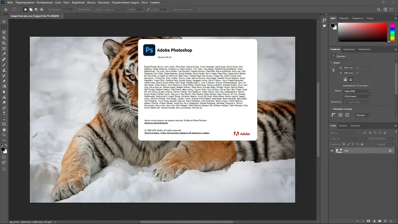 Работа с приложением