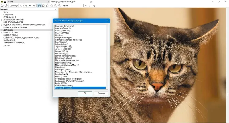 Работа с приложением