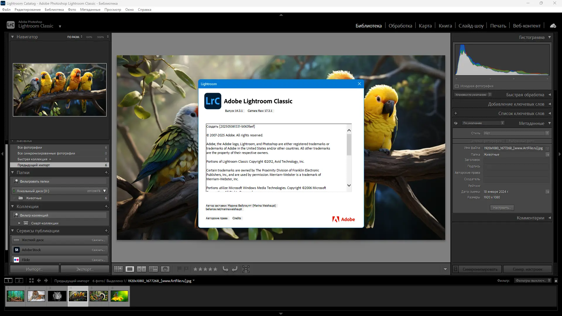 Работа с приложением