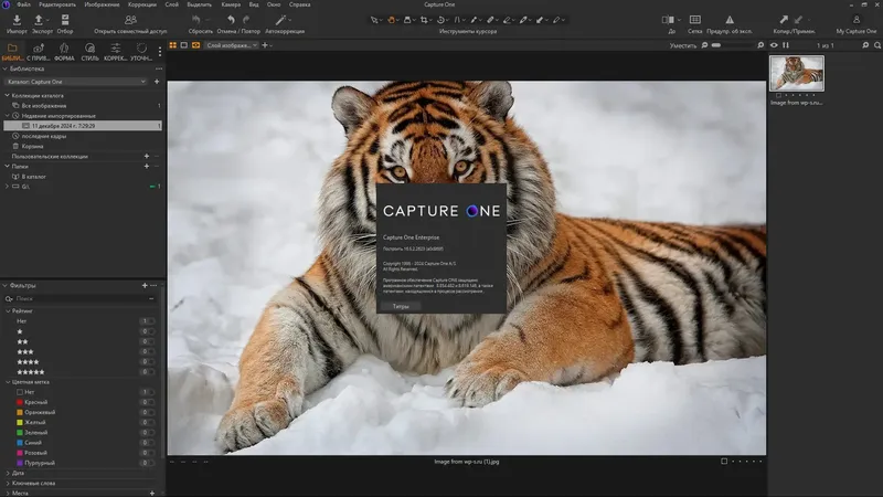 Работа с приложением