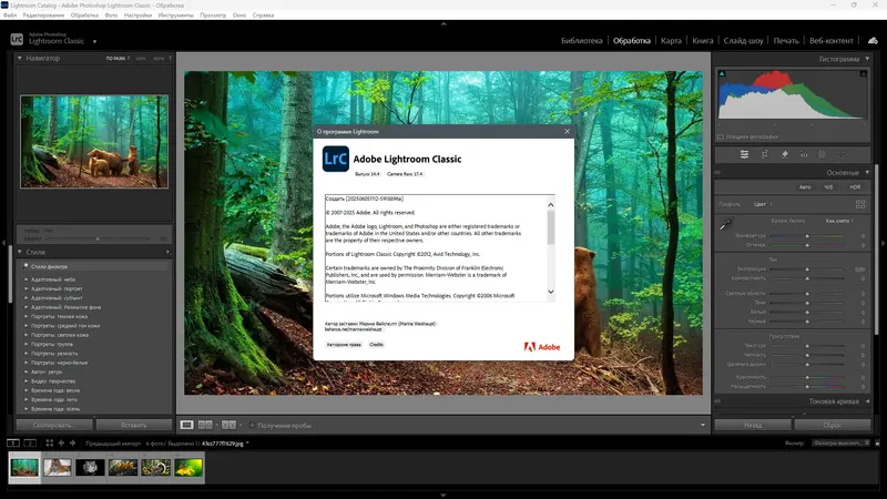 Работа с приложением