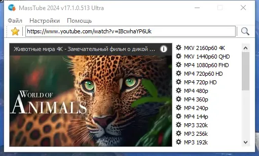 Работа с приложением