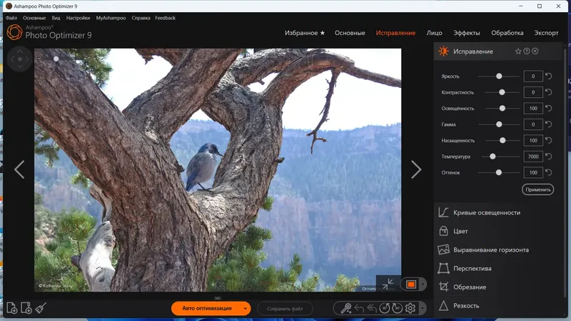 Работа с приложением