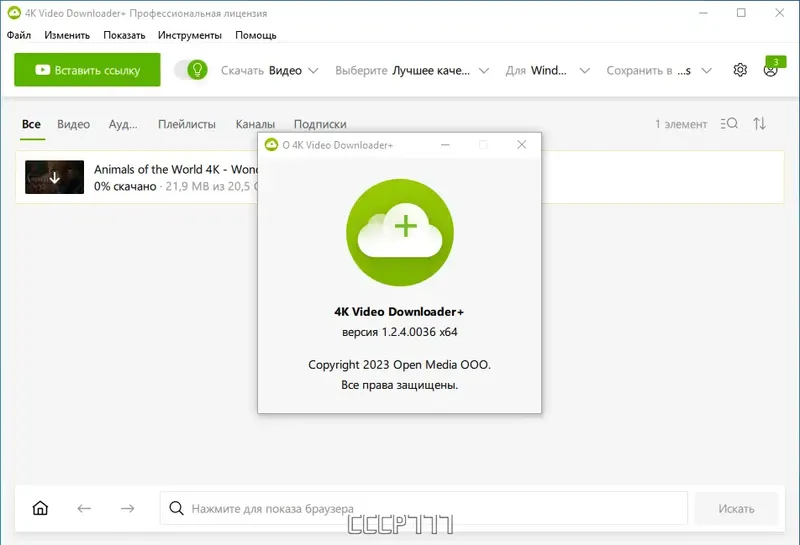Установка 4K Video Downloader+ 1.2.4.0036 RePack (& Portable) by elchupacabra [Multi Ru]