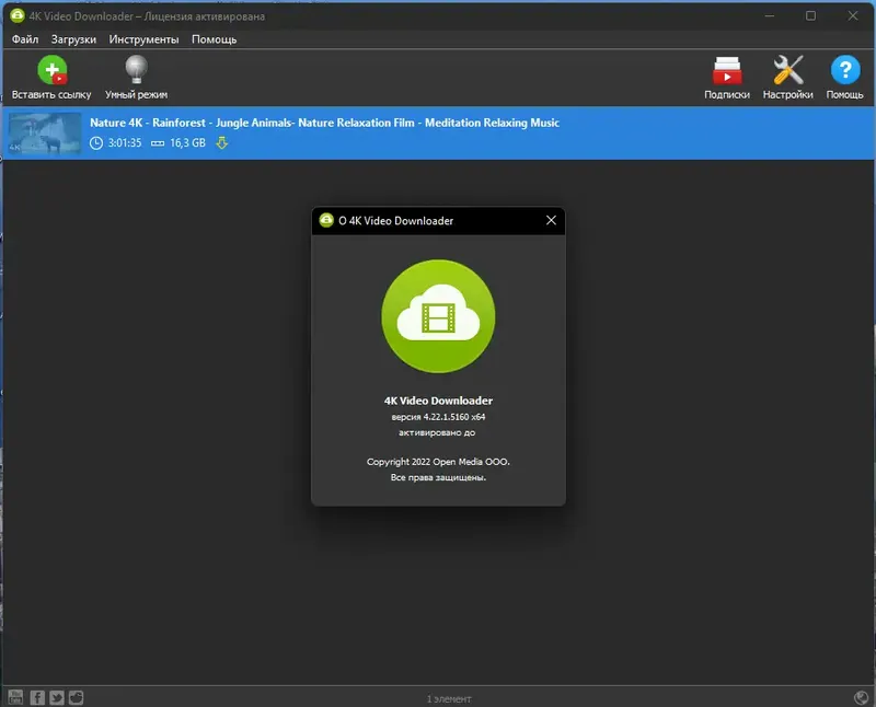 Установка 4K Video Downloader 4.22.1.5160 RePack (& Portable) by TryRooM [Multi Ru]