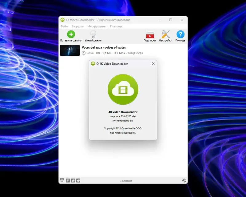 Установка 4K Video Downloader 4.23.0.5200 RePack (& Portable) by TryRooM [Multi Ru]