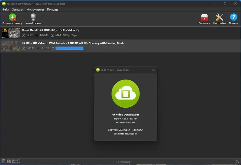 Установка 4K Video Downloader 4.23.1.5220 RePack (& Portable) by elchupacabra [Multi Ru]