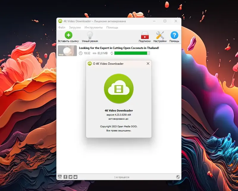 Установка 4K Video Downloader 4.23.3.5250 RePack (& Portable) by TryRooM [Multi Ru]