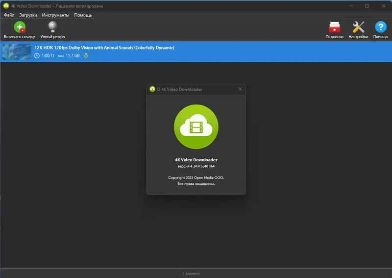 Установка 4K Video Downloader 4.24.0.5340 RePack (& Portable) by Dodakaedr [Ru En]
