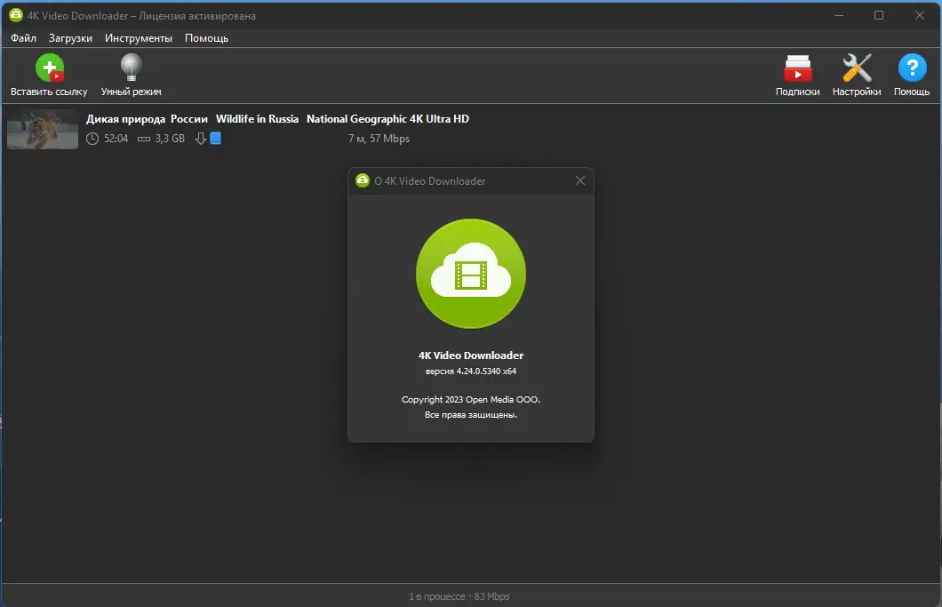 Установка 4K Video Downloader 4.24.0.5340 RePack (& Portable) by elchupacabra [Multi Ru]