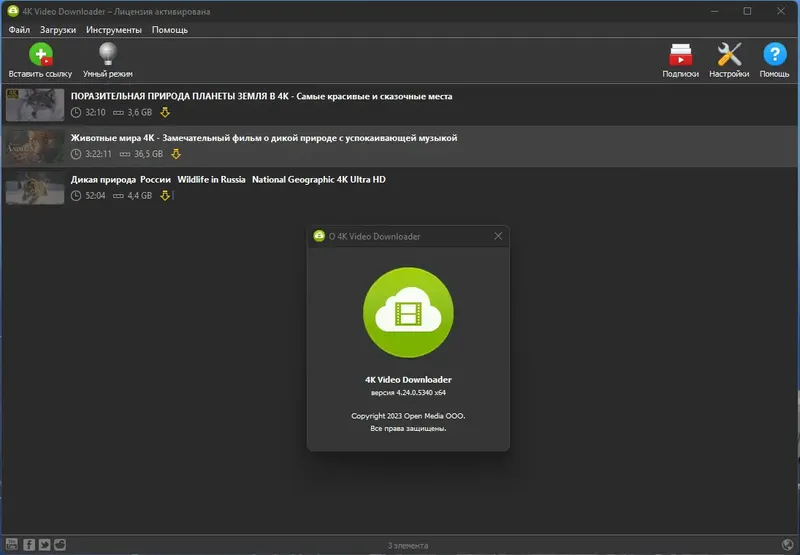 Установка 4K Video Downloader 4.24.0.5340 RePack (& Portable) by TryRooM [Multi Ru]