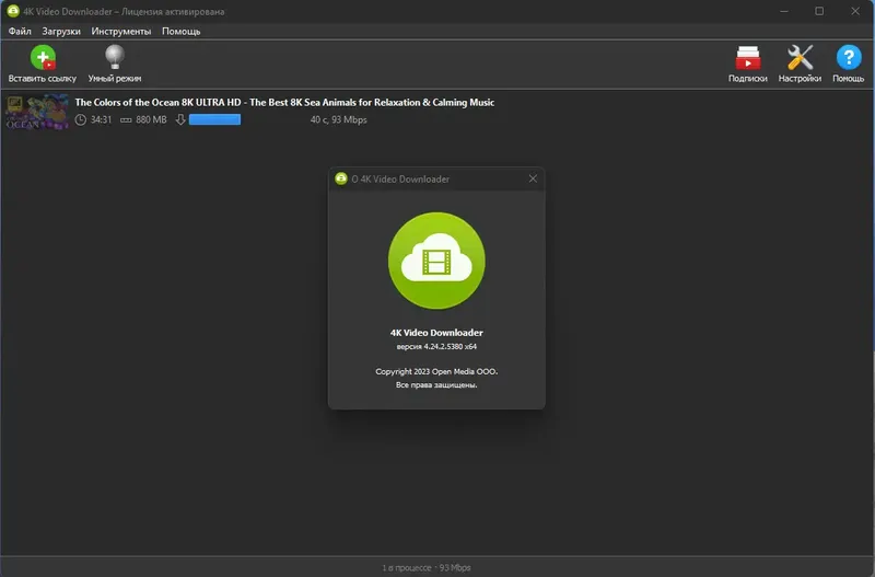 Установка 4K Video Downloader 4.24.2.5380 RePack (& Portable) by Dodakaedr [Ru En]