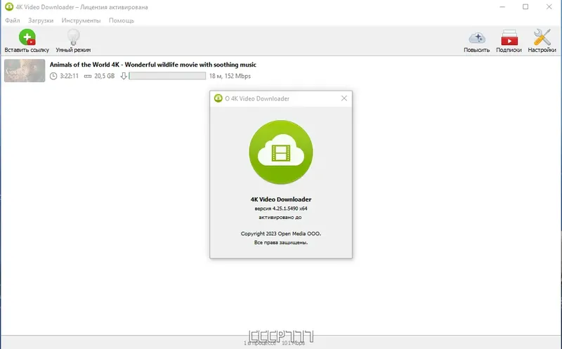 Установка 4K Video Downloader 4.25.1.5490 RePack (& Portable) by elchupacabra [Multi Ru]