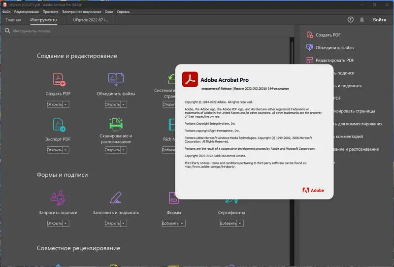 Установка Adobe Acrobat Pro 2022.003.20310 Portable by 7997 [Multi Ru]