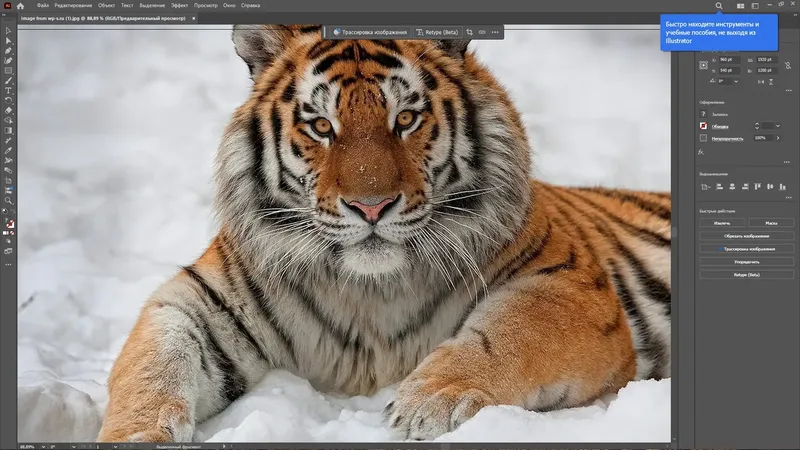 Установка Adobe Illustrator 2025 29.0.0.186 RePack by KpoJIuK [Multi Ru]