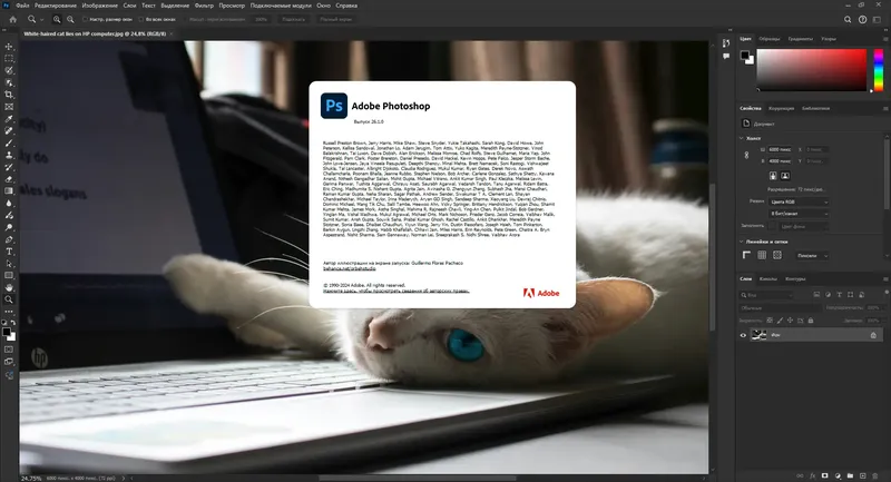Установка Adobe Photoshop 2025 26.1.0.121 (x64) RePack by SanLex [Multi Ru]