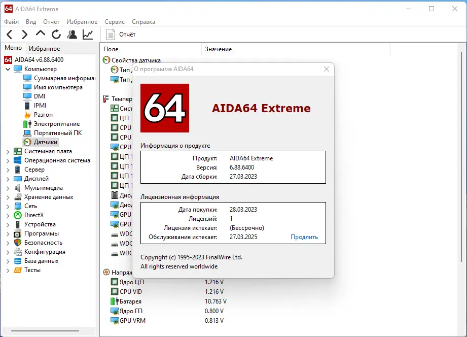 Установка AIDA64 Extreme Engineer Business Edition Network Audit 6.88.6400 RePack (& Portable) by Dodakaedr [Multi Ru]