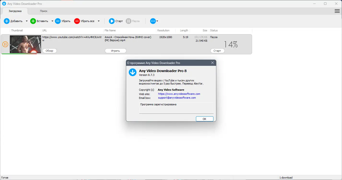 Установка Any Video Downloader 8.7.3 RePack (& Portable) by elchupacabra [Ru En]