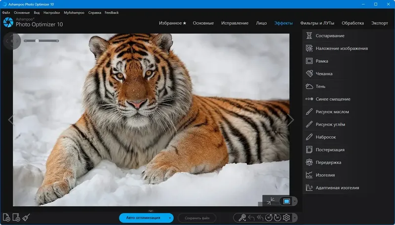Установка Ashampoo Photo Optimizer 10.0.6.2 RePack (& Portable) by elchupacabra [Multi Ru]