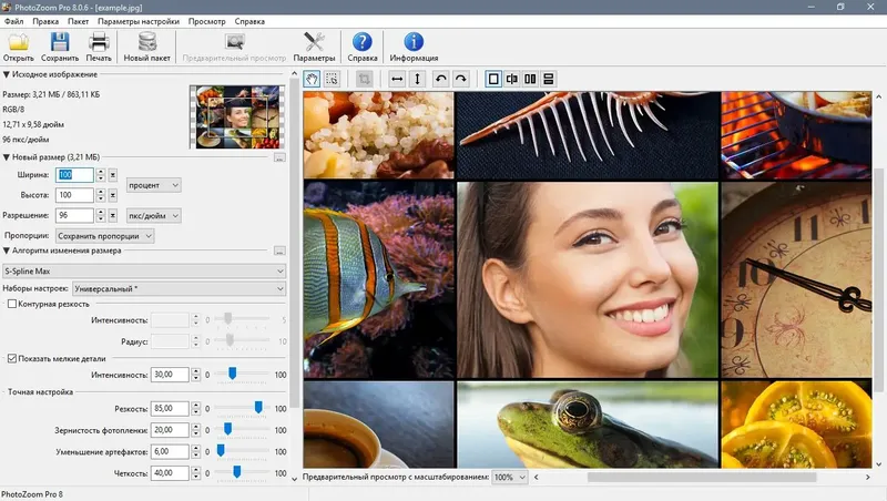 Установка Benvista PhotoZoom Pro 8.1.0 (2022) PC RePack & portable by Dodakaedr