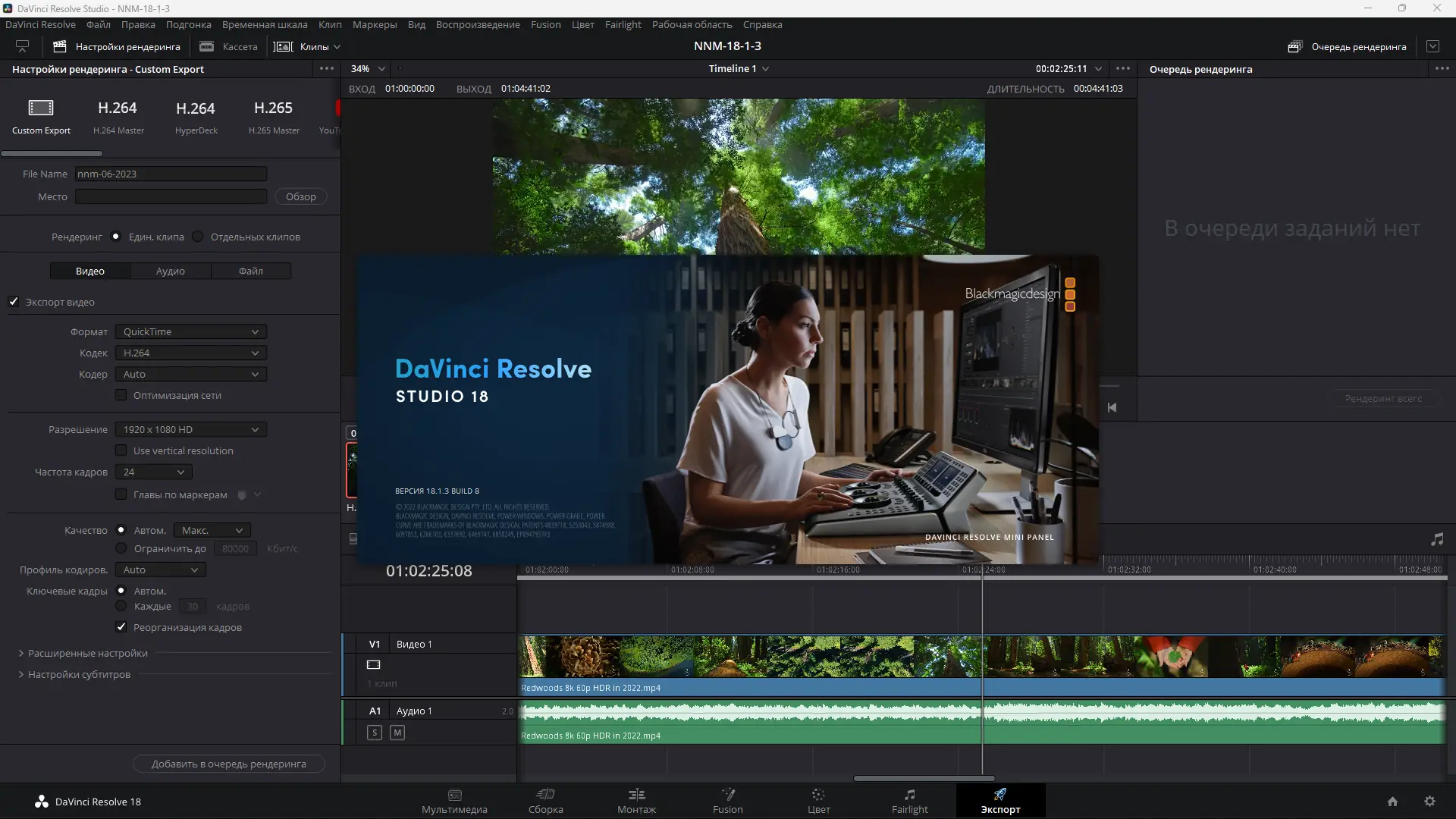 Установка Blackmagic Design DaVinci Resolve Studio 18.1.3 Build 8 [Multi Ru]
