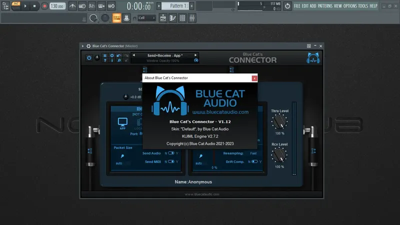 Установка Blue Cat's Connector 1.12 VST, VST 3, AAX (x64) [En]