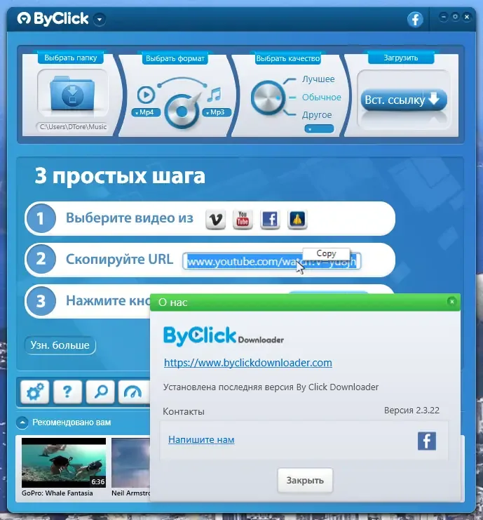 Установка ByClick Downloader Premium 2.3.22 RePack (& Portable) by elchupacabra [Multi Ru]