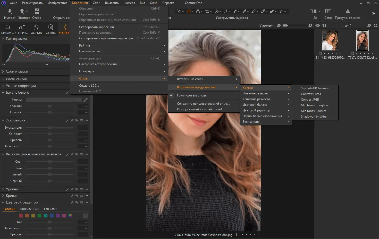 Установка Capture One 23 Enterprise 16.3.5.1929 RePack by KpoJIuK [Multi Ru]