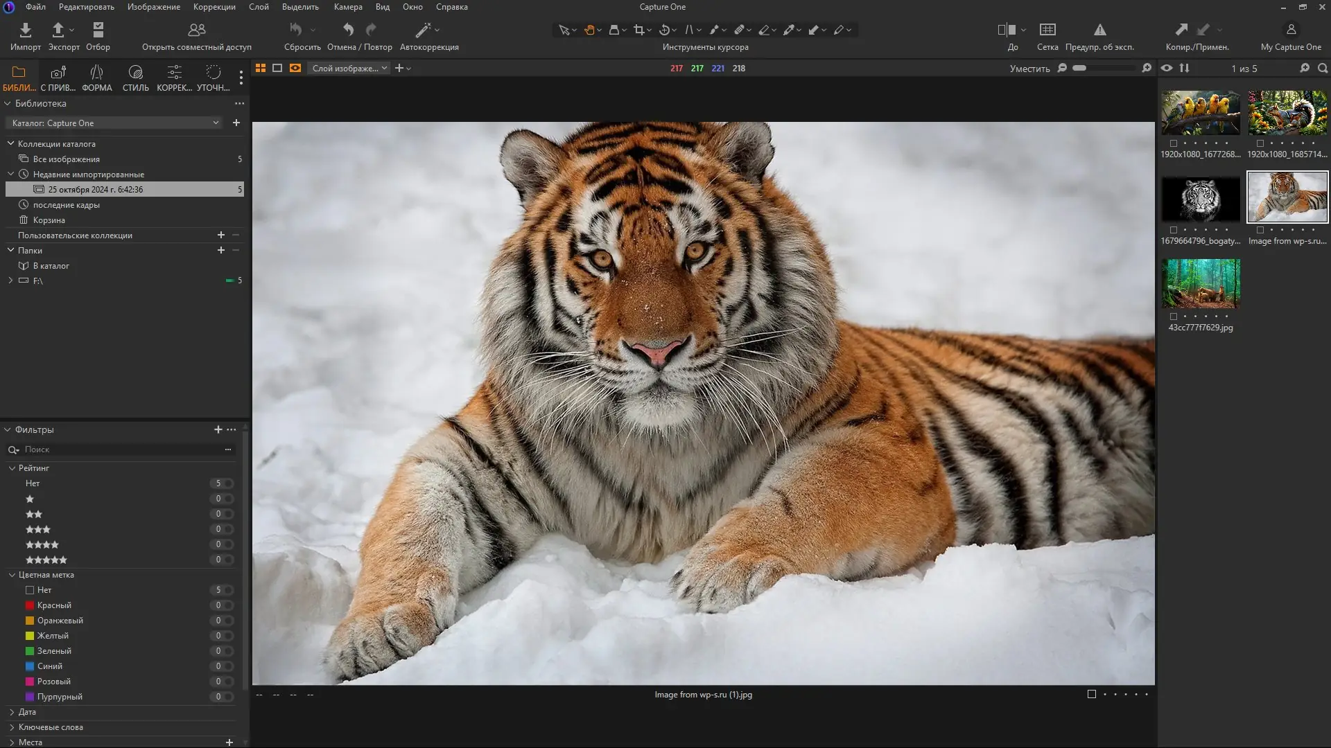 Установка Capture One 23 Enterprise 16.5.0.2494 RePack by KpoJIuK [Multi Ru]