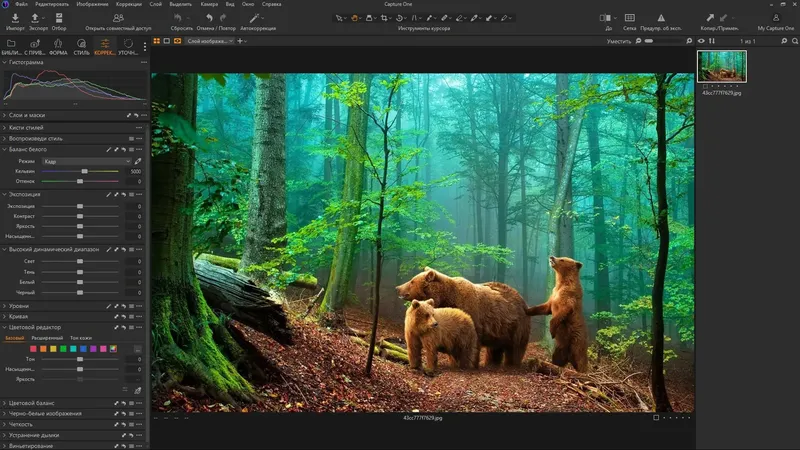 Установка Capture One 23 Enterprise 16.5.4.2682 RePack by KpoJIuK [Multi Ru]