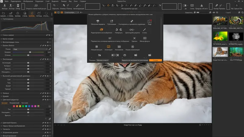 Установка Capture One 23 Enterprise 16.6.1.2962 RePack by KpoJIuK [Multi Ru]