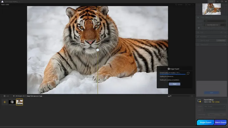 Установка Digiarty AIArty Image Matting 2.2 Portable by FC Portables [Multi]