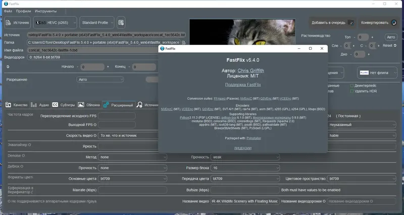 Установка FastFlix 5.5.5 (2023) PC + portable