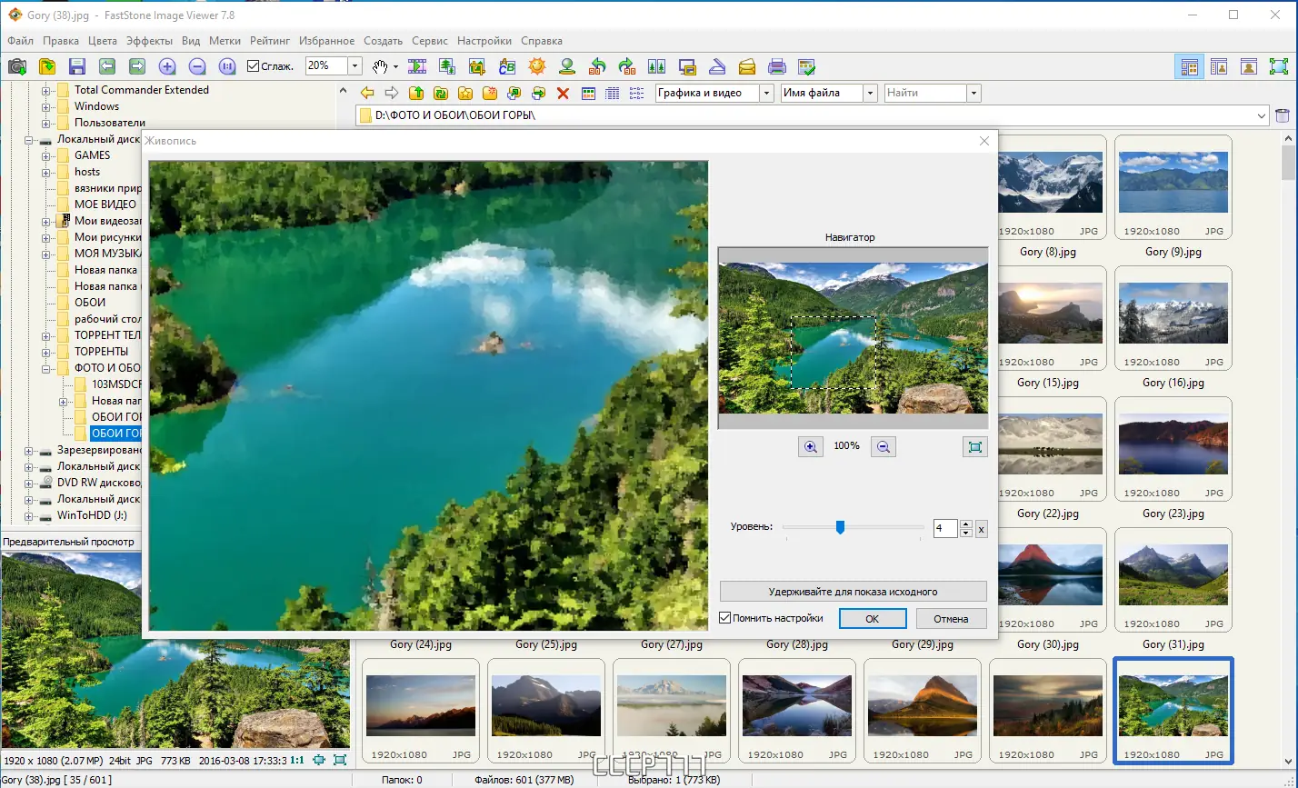 Установка FastStone Image Viewer 7.8 RePack (& Portable) by Dodakaedr [Multi Ru]