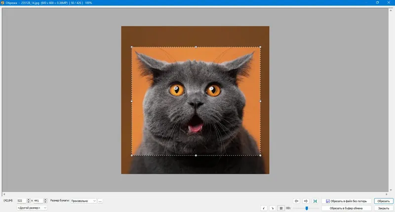 Установка FastStone Image Viewer 7.9 Corporate + Portable [Multi Ru]